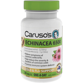 Carusos Echinacea 6,500
